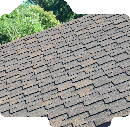 Shingle roof.