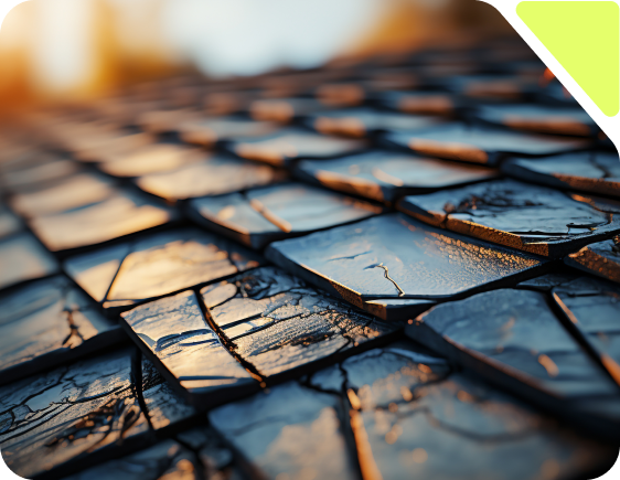 Close up shingle roof.